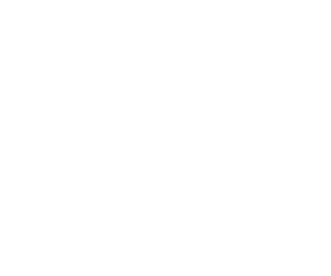 logo-2023092215480071774 (1)